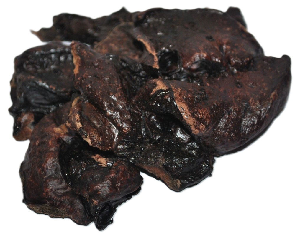 Craving Nature Venison Puppy Chews 100G