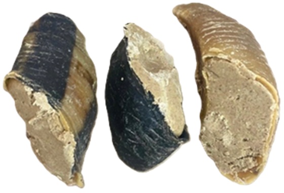 Craving Nature Dried Stuffed Hoof 3Pk Pork