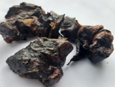 Yummies Venison Puppy Chews 80G