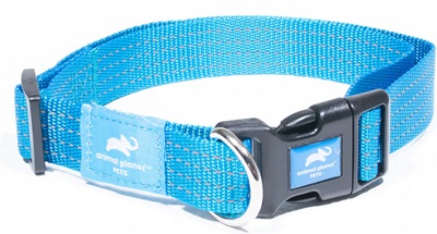 Animal Planet Classic Webbing Collar Small Turquoise 27-37Cm