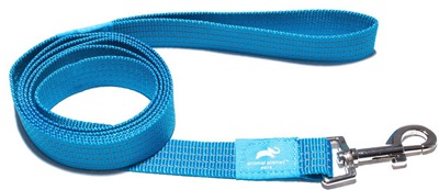 Animal Planet Classic Webbing Lead Medium Turquoise 1.8Mx1.2Cm