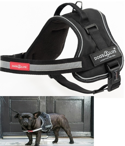 Dog's Life No-Pull Sport Harness Black 96-138Cm