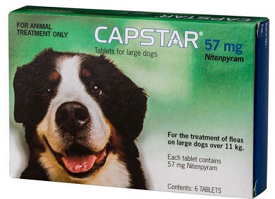 Capstar Tick & Flea Large >11.4Kg 6 Tablets