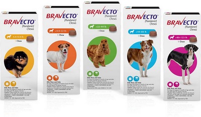 Bravecto Tick & Flea Medium Adult & Puppy 10-20Kg 1 Chew