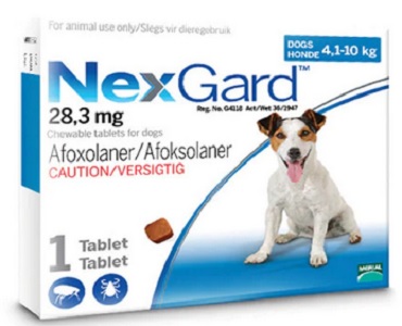 Nexgard Tick & Flea Small 4.1-10Kg 1 Tablet