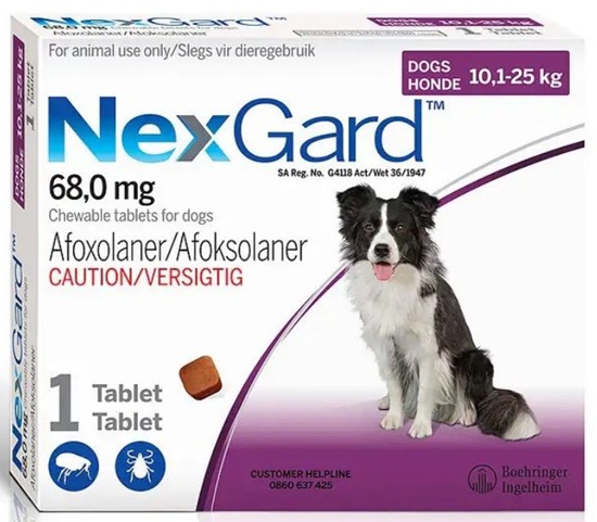 Nexgard Tick & Flea Medium 10.1-25Kg 1 Tablet