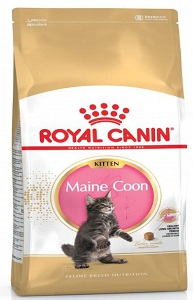 Royal Canin Maine Coon Kitten 4Kg