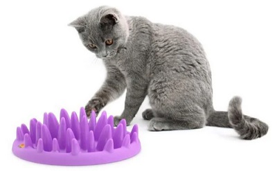 Company Of Animals Catch Interactive Feeder Small Purple