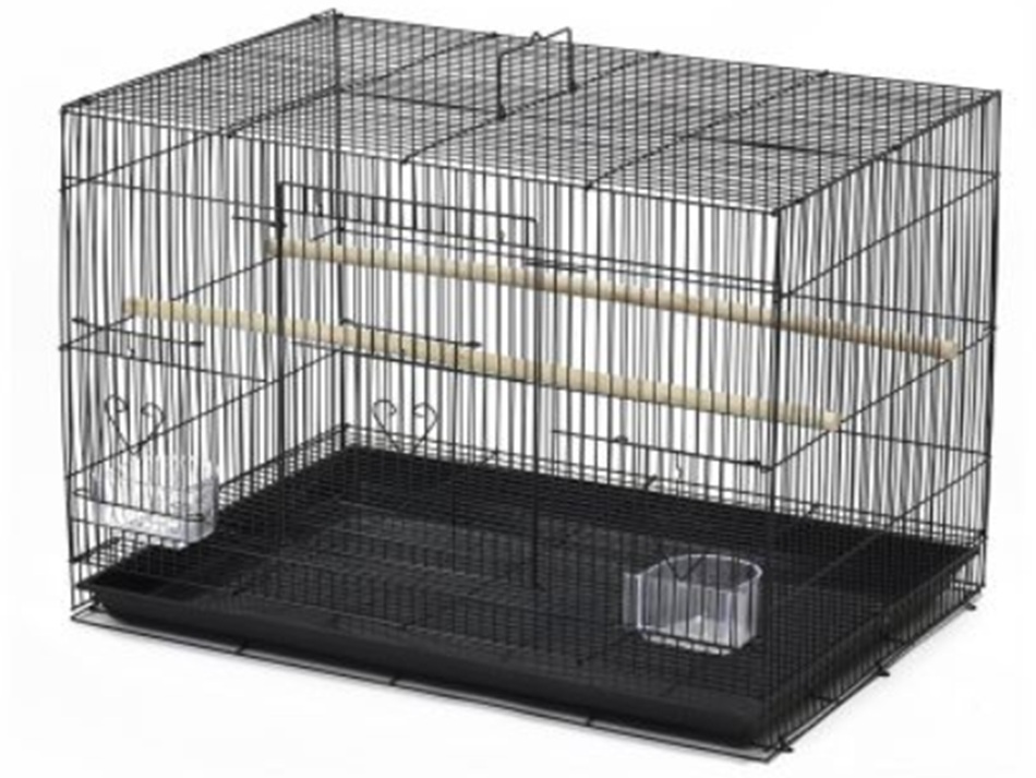 Daro Cockatiel/Budgie Cage Asstd. 40X40X60Cm