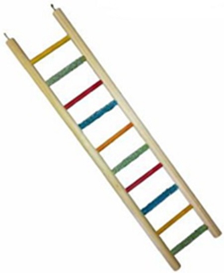 Birrdeeez Wooden Calci-Grit 10-Step Ladder 47.5Cm