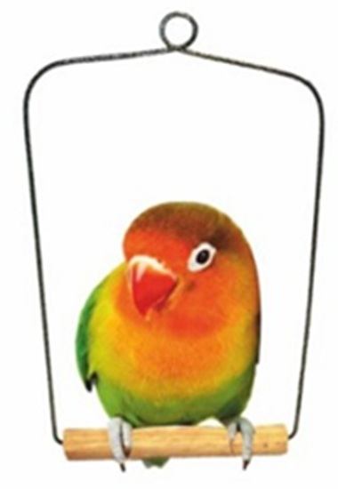 Daro Cockatiel Wooden Swing Medium 21X27Cm