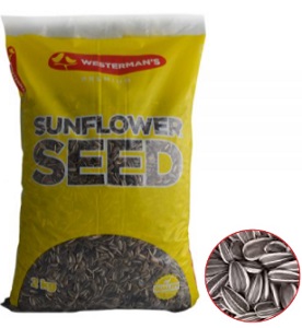 Westerman's Giant Sunflower Seed 2Kg