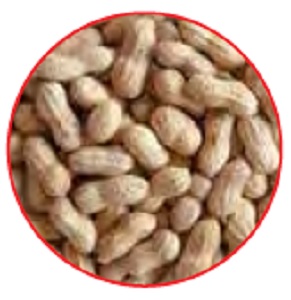 Westerman's Peanuts With Shell 500G