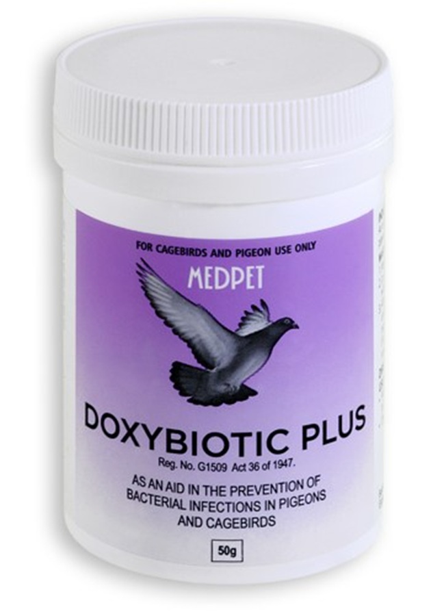 Medpet Doxybiotc Plus Powder 50G