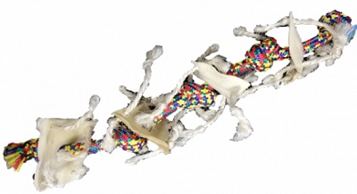 Polly's Choice Rope & Four Rawhide Chews 65X10Cm