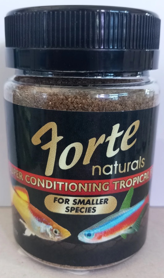 Forte Naturals Super Conditioning Tropical Fine Crumble 72G