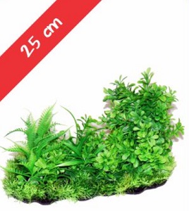 Daro Green Garden Mix Plastic Plant 20X25X8Cm