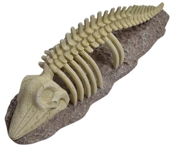 Akwa Ancient Marine Skeleton Ornament 6X7X30Cm