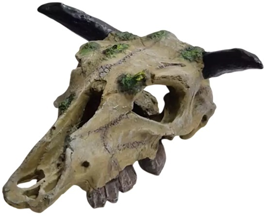 Akwa Cow Skull Ornament Medium 11X6X11Cm