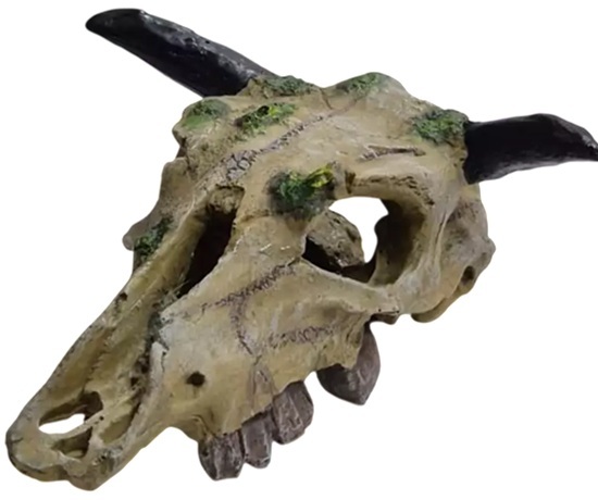 Akwa Cow Skull Ornament Large 18X8X20Cm