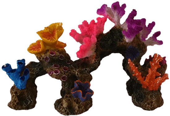 Akwa Coral Reef Large 29Cm