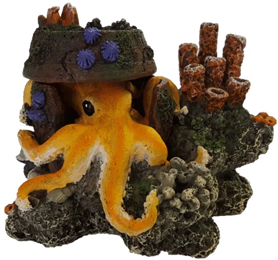 Akwa Bubble Octopus 16Cm
