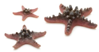 Biorb Decor Sea Stars Set Pink 3Pk