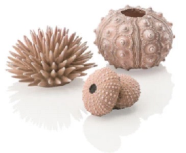 Biorb Decor Sea Urchins Set Natural 3Pk