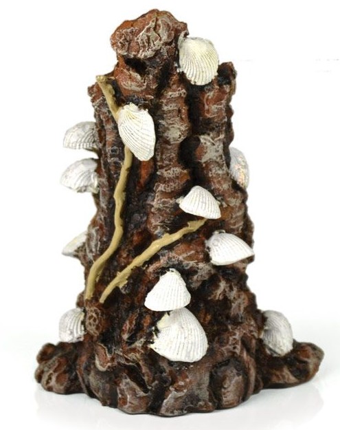 Biorb Decor Shells On Bark Sculpture 12.5Cm