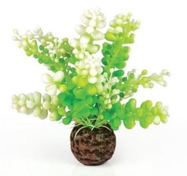 Biorb Green Aquatic Caulerpa Plastic Plant 13Cm