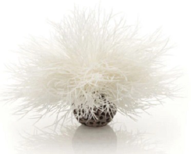 Biorb White Plastic Sea Lily 13.5X13Cm