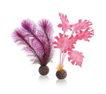 Biorb Pink Silk & Plastic Kelp Set Small 2Pk
