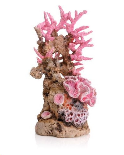 Biorb Pink Reef Pink Sculpture Medium 22.5Cm