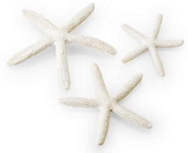 Biorb Decor White Starfish Set 3Pk