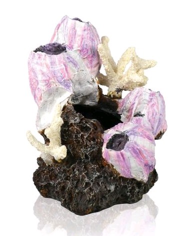 Biorb Decor Barnacle Sculpture Small Pink 12.3Cm