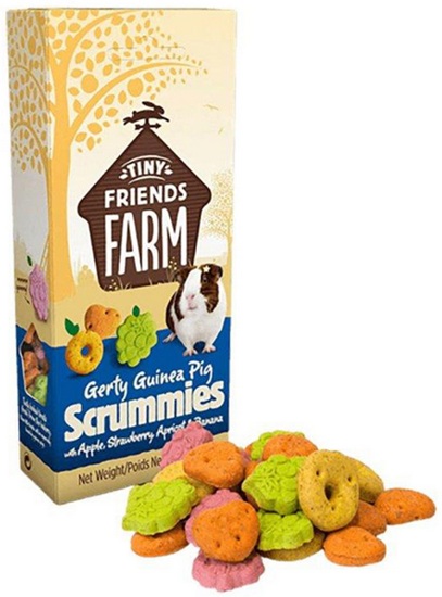 Tiny Friends Gerty Guinea Pig Scrummies Treat 120G