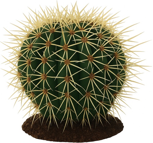 Daro Ceramic Golden Barrel Cactus No 4