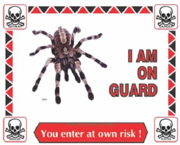 Daro I Am On Guard Sign Tarantula 30.5X24.5Cm