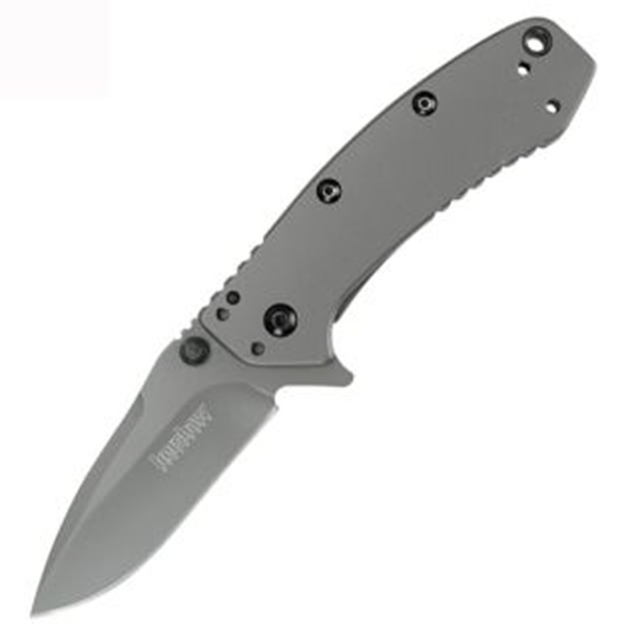 Kershaw Cryo Fold Pocket Knife Small