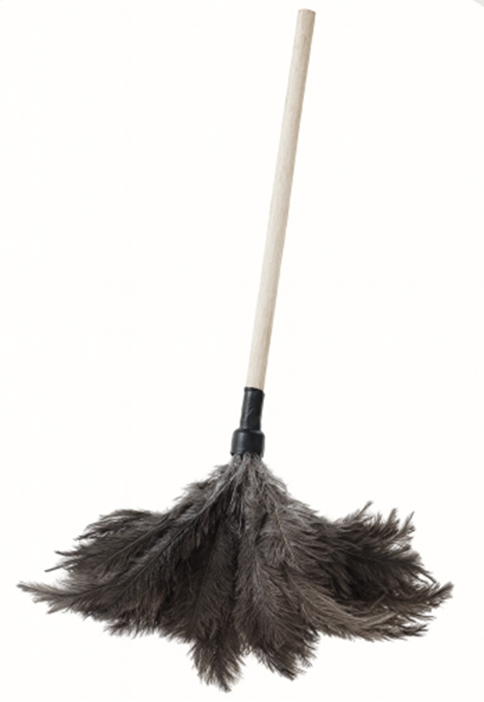 Buzz Feather Duster Short Handle