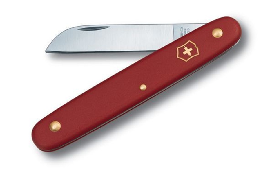 Victorinox Biltong Knife Floral Red