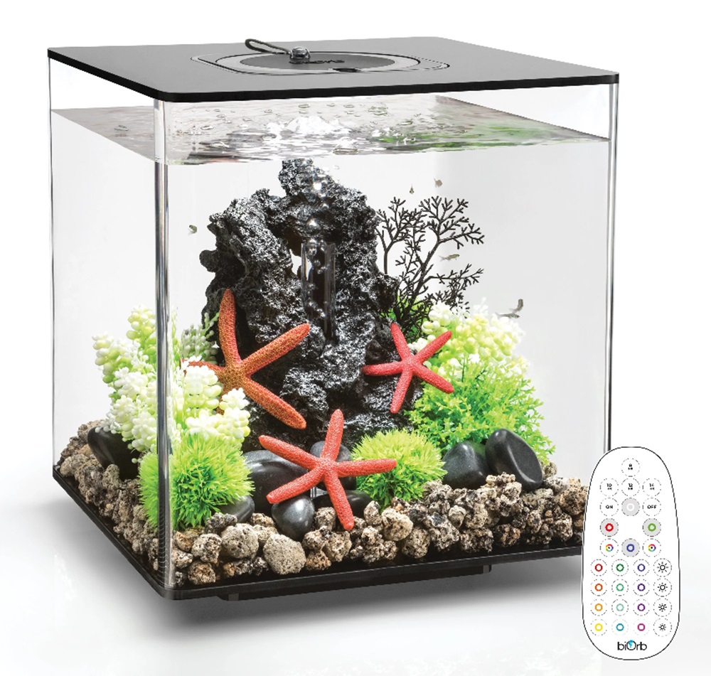 Biorb Aquarium Black Cube 30 With Mcr Lights