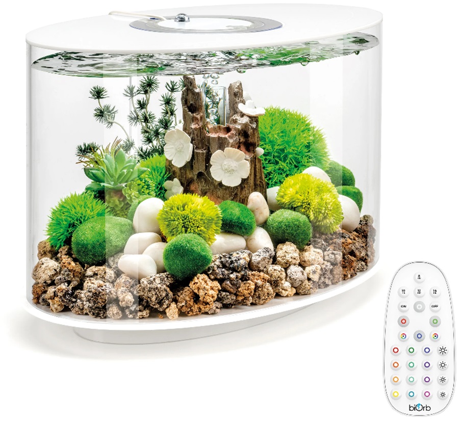 Biorb Aquarium White Loop 15 With Mcr Lights