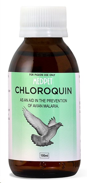 Medpet Chloroquin Solution 100Ml