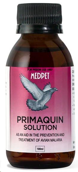 Medpet Primaquin Solution 100Ml